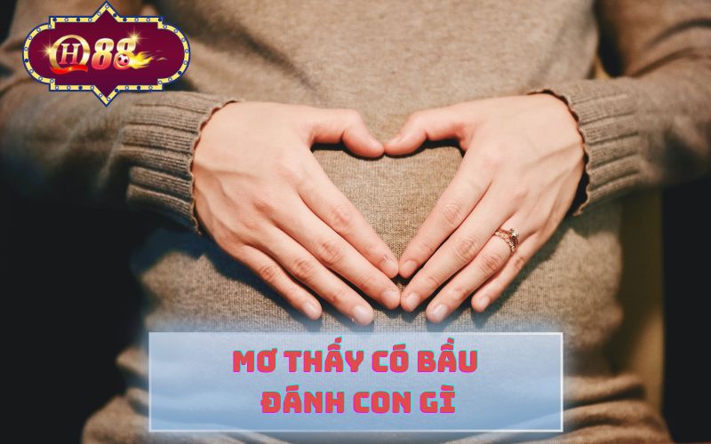 MƠ THẤY CÓ BẦU ĐÁNH CON GÌ